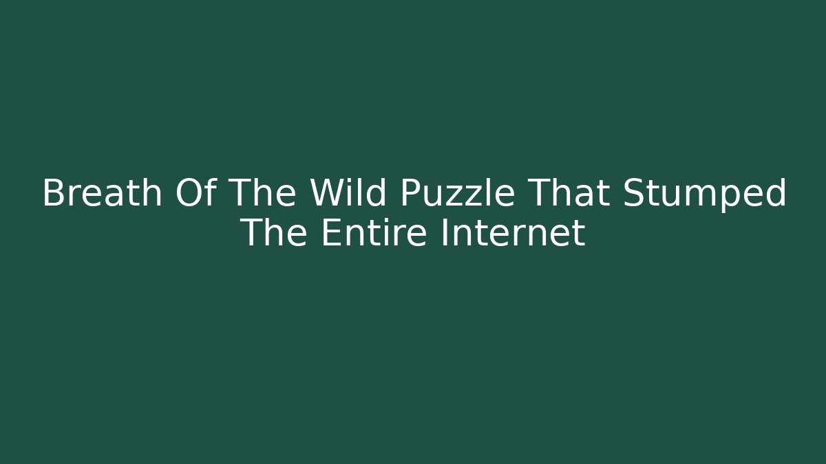 Breath Of The Wild Puzzle That Stumped The Entire Internet