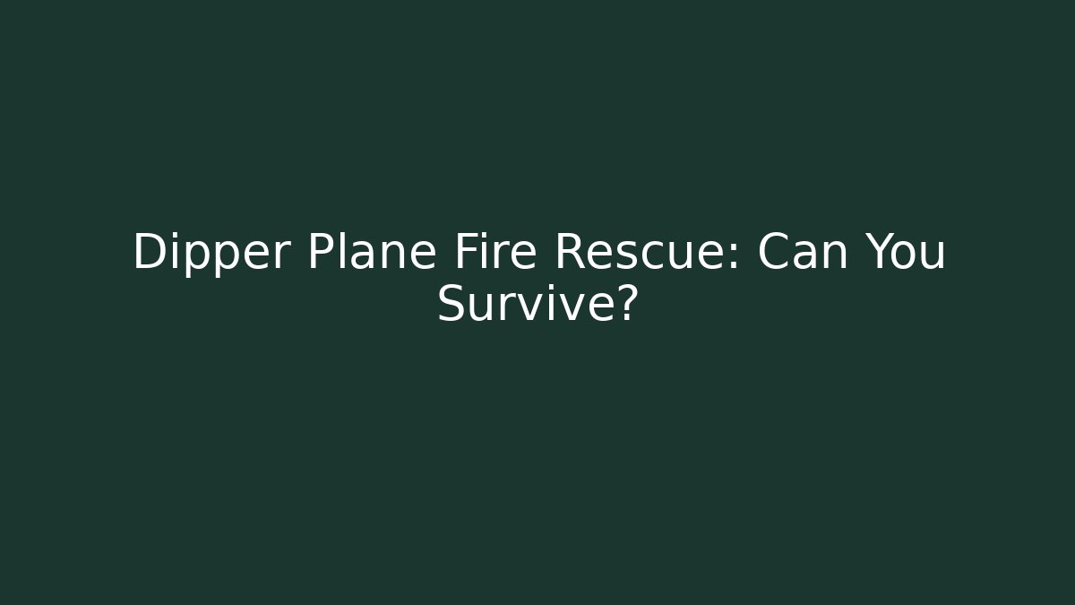 Dipper Plane Fire Rescue: Can You Survive?