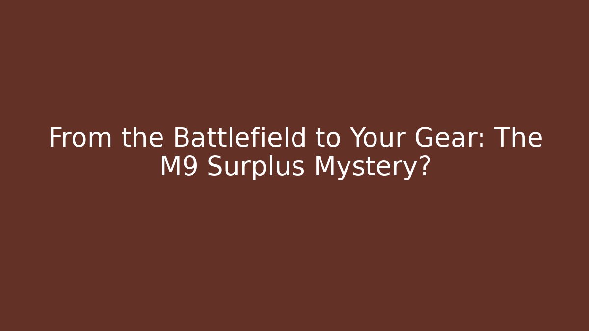 From the Battlefield to Your Gear: The M9 Surplus Mystery?