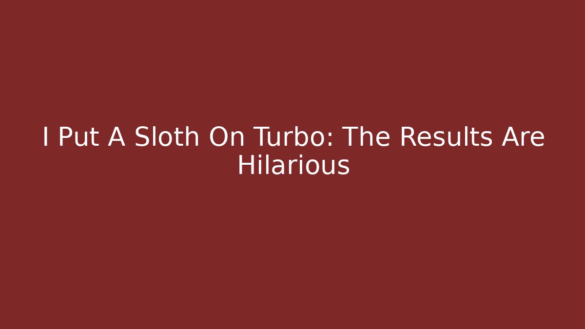 I Put A Sloth On Turbo: The Results Are Hilarious