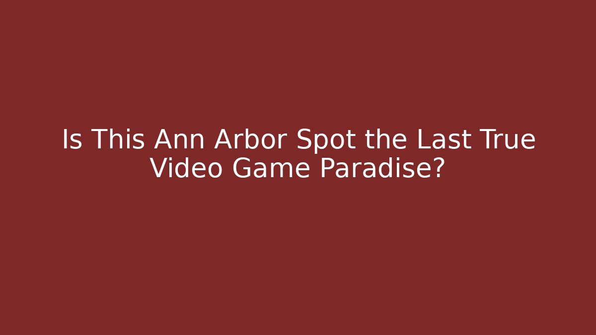 Is This Ann Arbor Spot the Last True Video Game Paradise?
