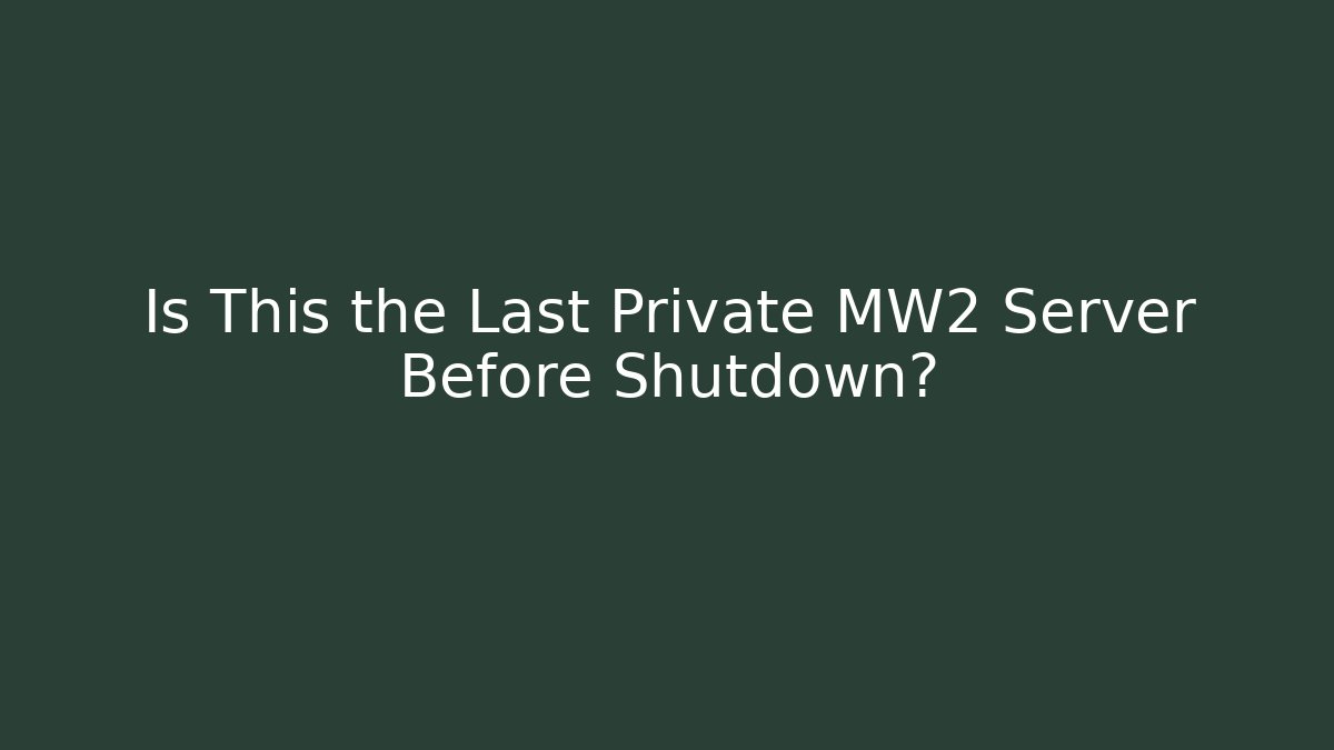 Is This the Last Private MW2 Server Before Shutdown?