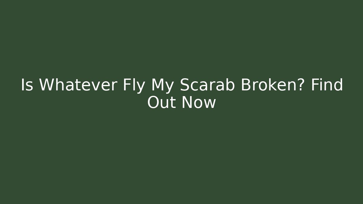 Is Whatever Fly My Scarab Broken? Find Out Now