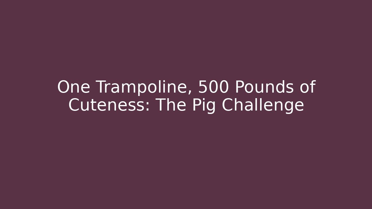 One Trampoline, 500 Pounds of Cuteness: The Pig Challenge