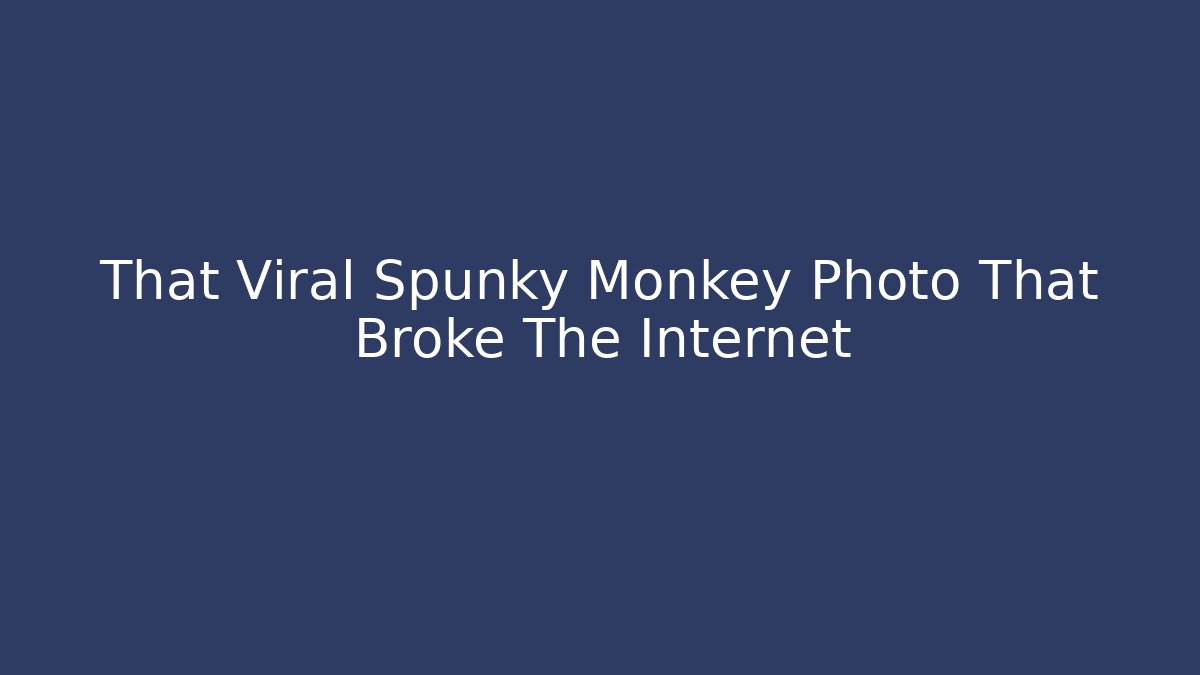 That Viral Spunky Monkey Photo That Broke The Internet