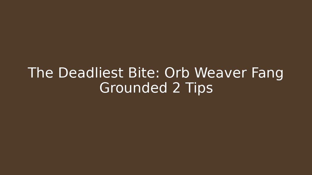 The Deadliest Bite: Orb Weaver Fang Grounded 2 Tips