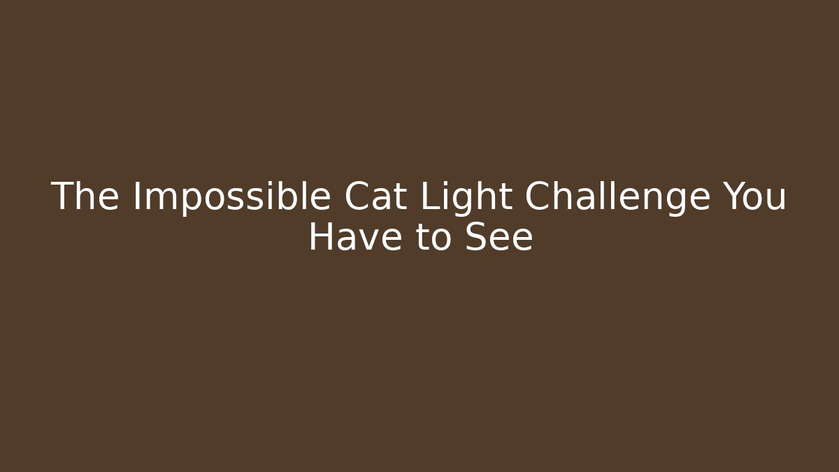 The Impossible Cat Light Challenge You Have to See
