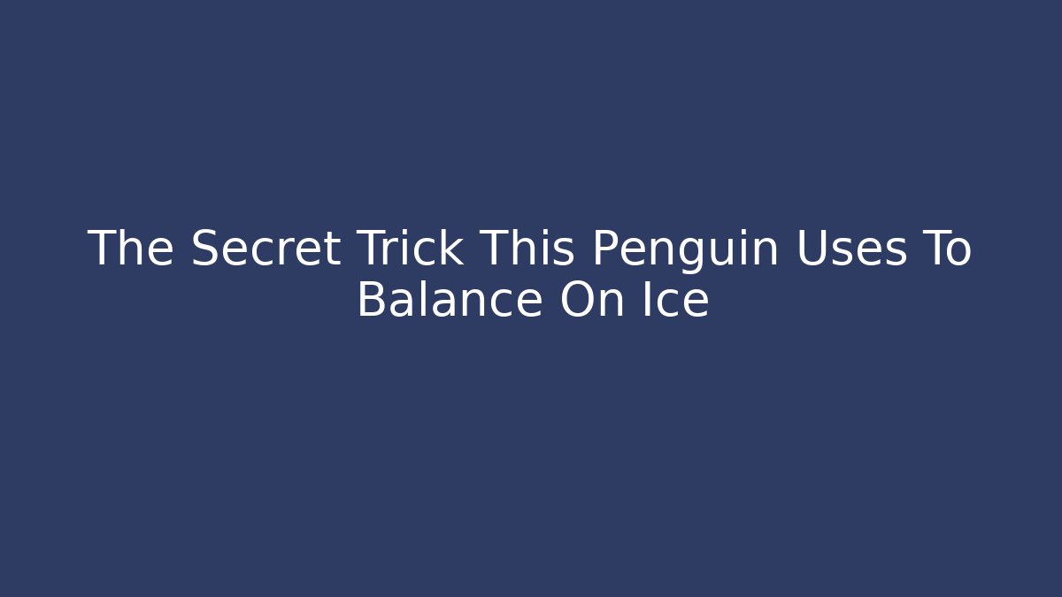 The Secret Trick This Penguin Uses To Balance On Ice