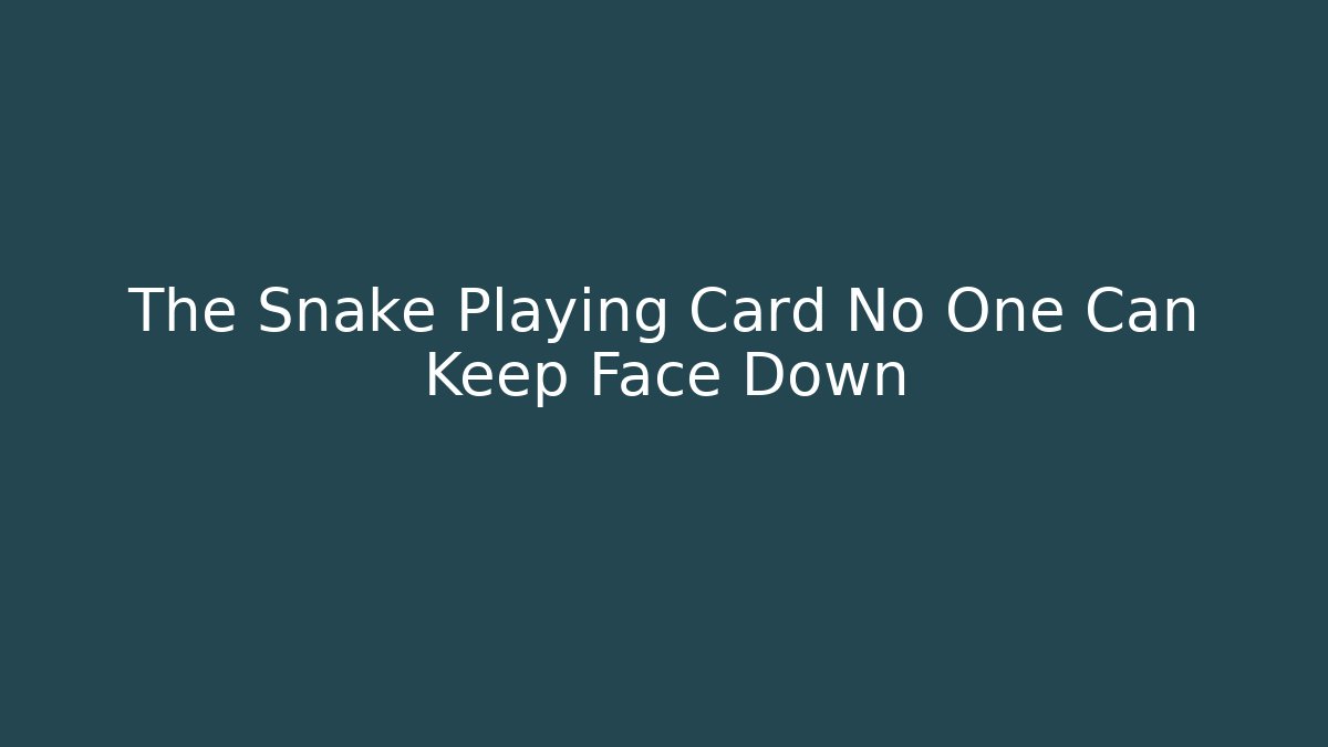 The Snake Playing Card No One Can Keep Face Down