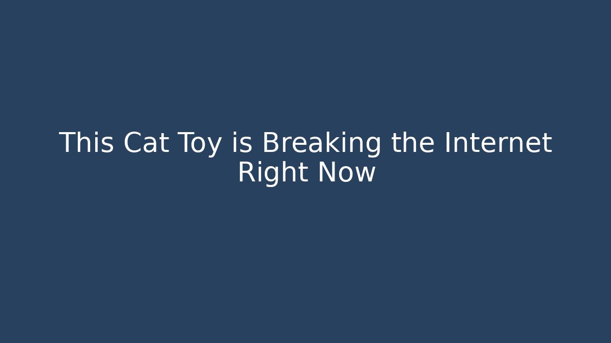 This Cat Toy is Breaking the Internet Right Now