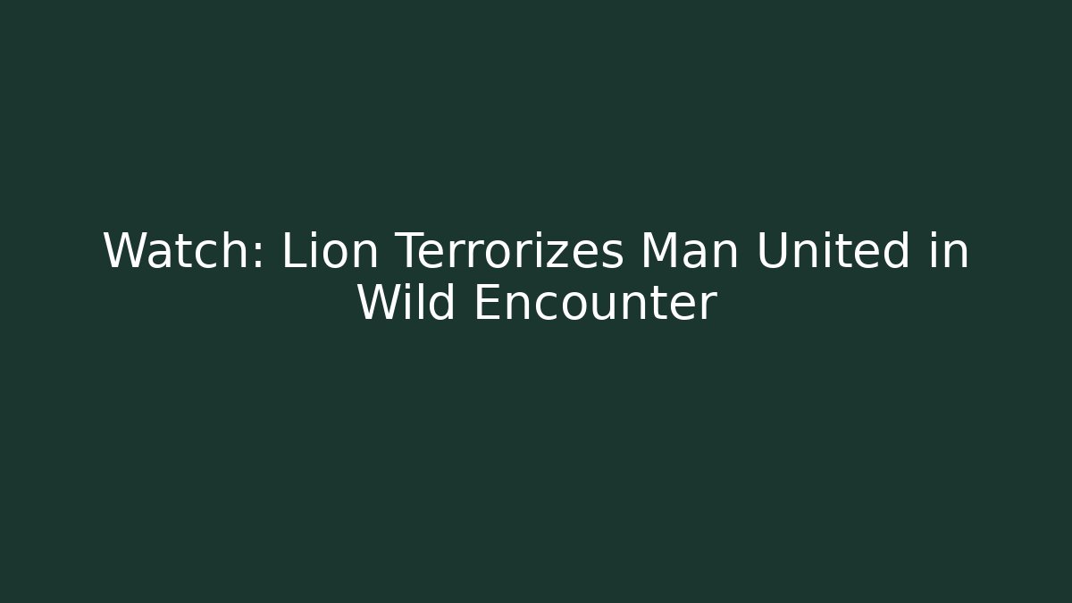 Watch: Lion Terrorizes Man United in Wild Encounter