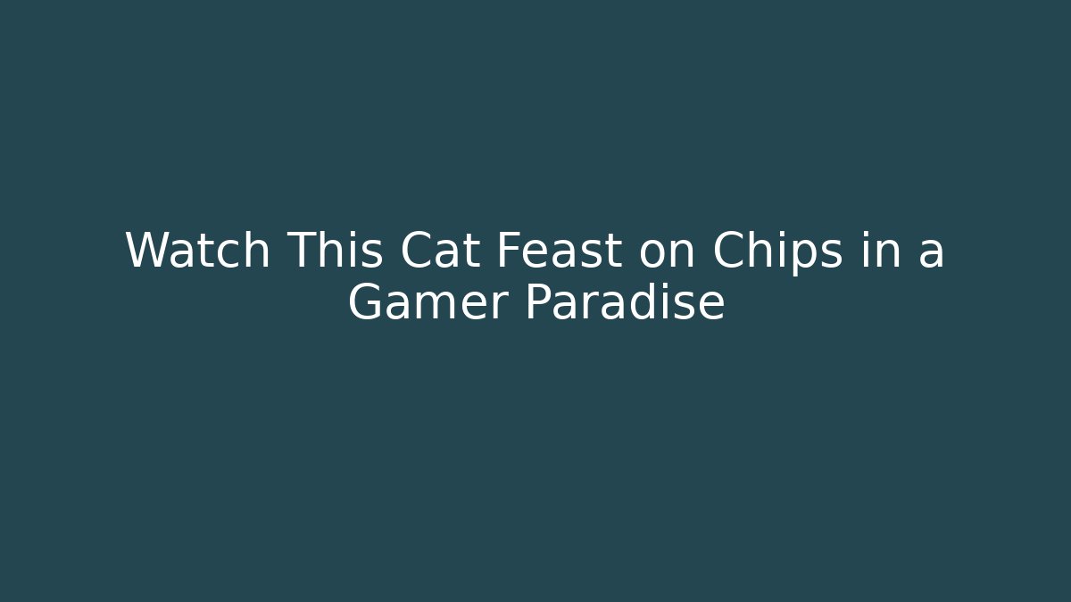 Watch This Cat Feast on Chips in a Gamer Paradise