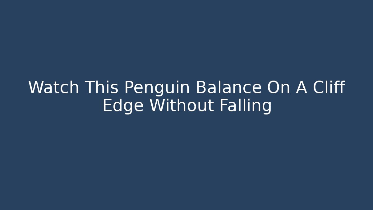 Watch This Penguin Balance On A Cliff Edge Without Falling - NADclinic