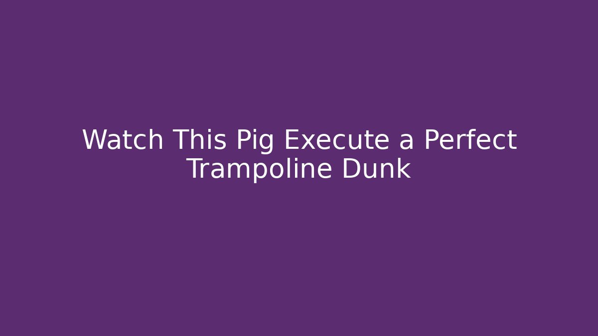 Watch This Pig Execute a Perfect Trampoline Dunk