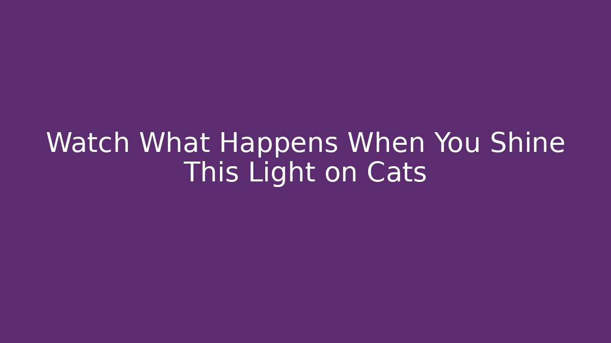 Watch What Happens When You Shine This Light on Cats