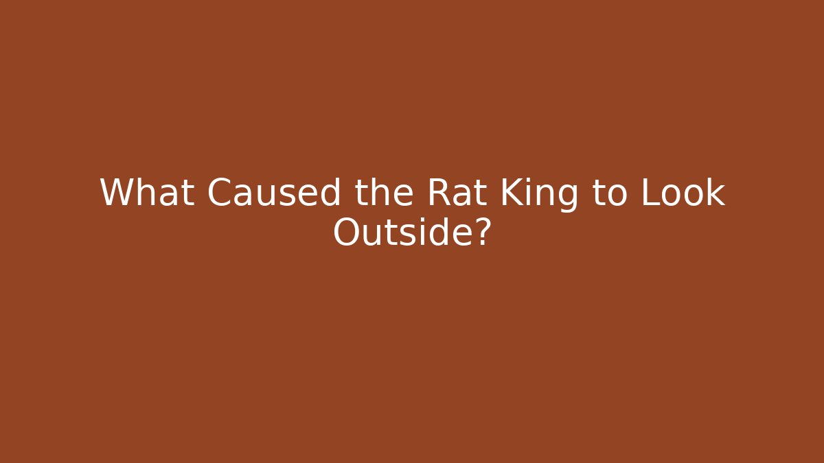 What Caused the Rat King to Look Outside?