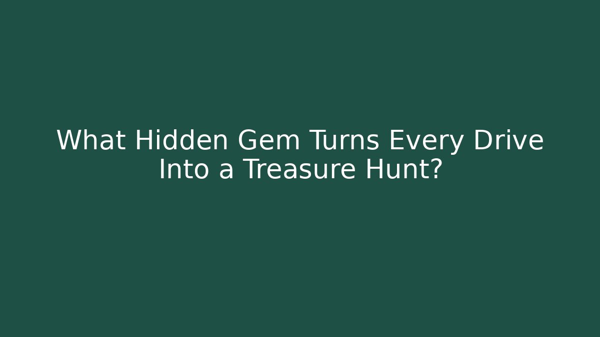 What Hidden Gem Turns Every Drive Into a Treasure Hunt?