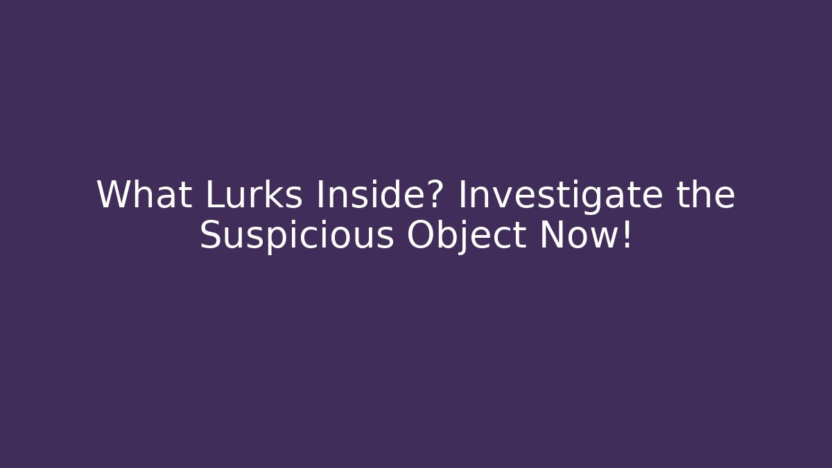 What Lurks Inside? Investigate the Suspicious Object Now!