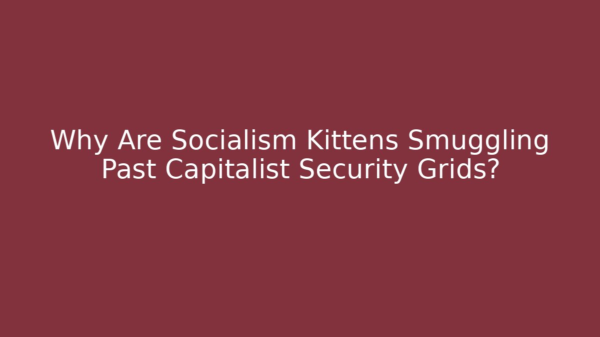 Why Are Socialism Kittens Smuggling Past Capitalist Security Grids?
