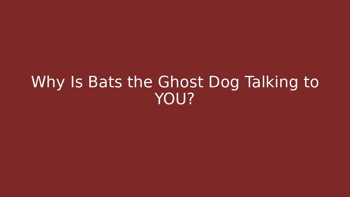 Why Is Bats the Ghost Dog Talking to YOU?