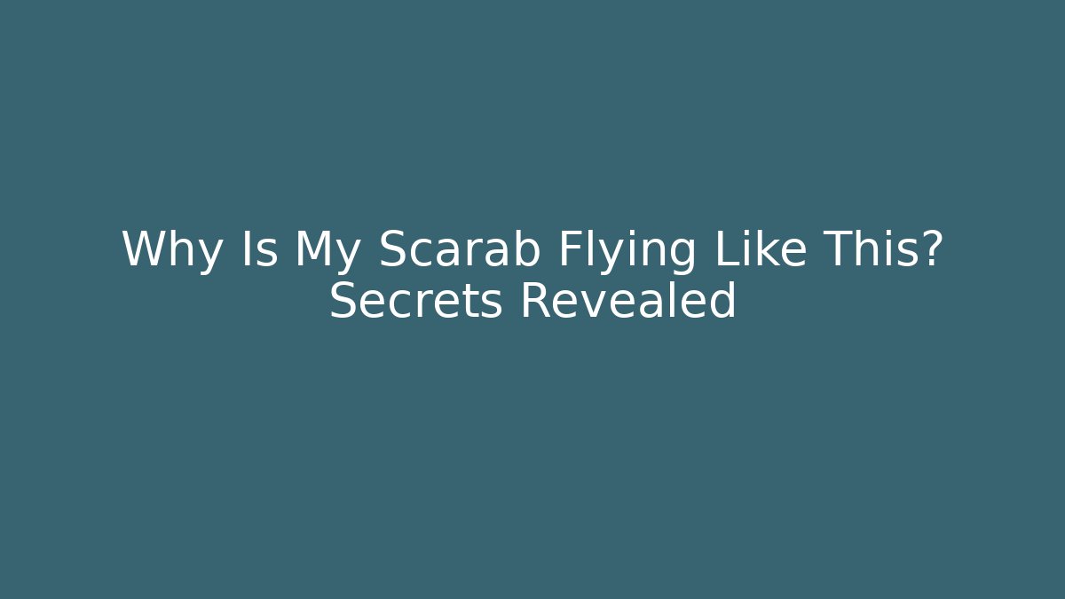 Why Is My Scarab Flying Like This? Secrets Revealed