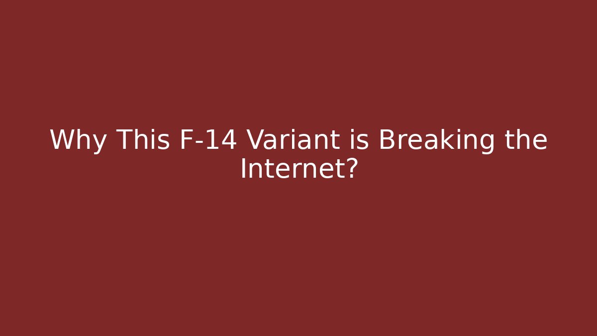 Why This F-14 Variant is Breaking the Internet? - NADclinic