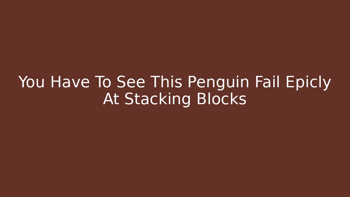 You Have To See This Penguin Fail Epicly At Stacking Blocks