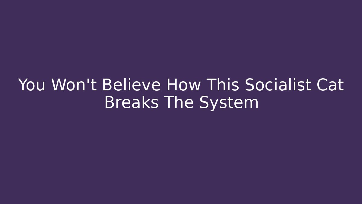 You Won’t Believe How This Socialist Cat Breaks The System